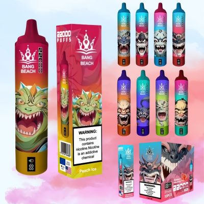 Bang Beach 22000 Puffs | Vape Shop Japan