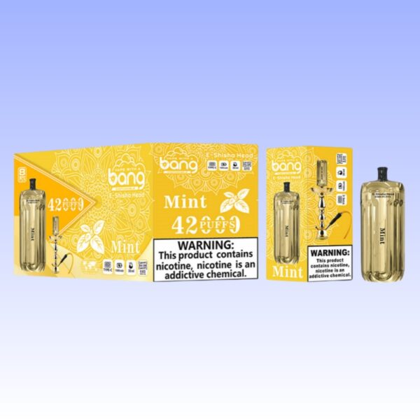 バングブレイズ42000パフ | Vape Shop Japan