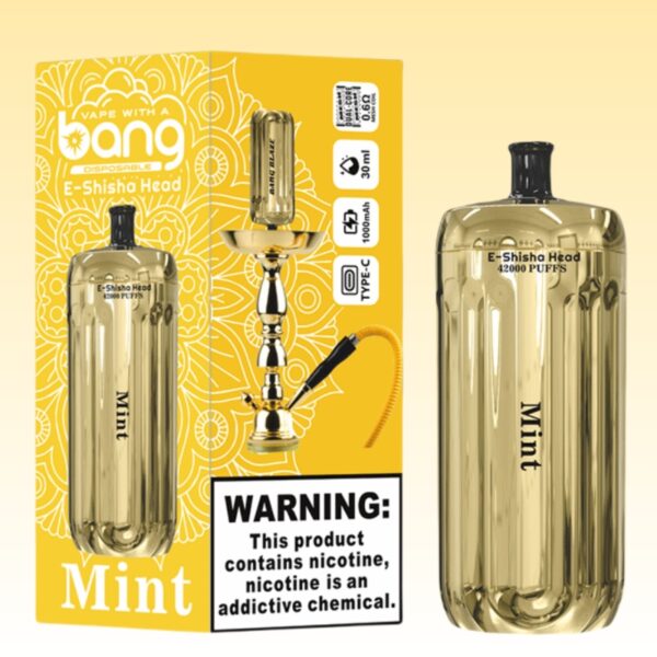 バングブレイズ42000パフ | Vape Shop Japan