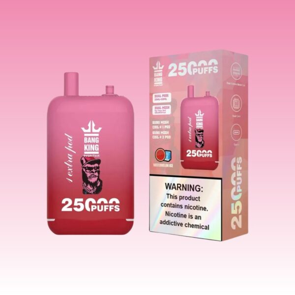 Puff Bang King 25000 Tiri | senza nicotina | Puff Sigaretta Store