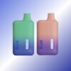 Randm Elfin 600 Puffs | Vape Shop Japan