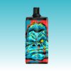 VapSolo King 10000 puffs | Vape Shop Japan