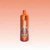 Bang King 13000 Puffs | Vape Shop Japan