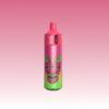 Bang King 13000 Puffs | Vape Shop Japan