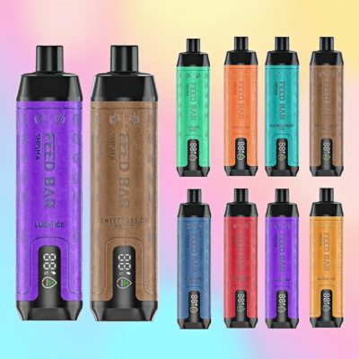 VapSolo Shisha 15000 パフ | Vape Shop Japan