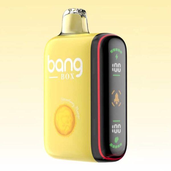 Bang Box 9000-18000 パフ | Vape Shop Japan