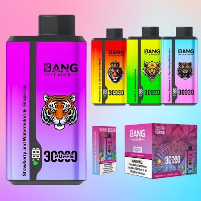 Bang Leader 30000 Puffs | Vape Shop Japan
