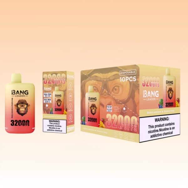 バングリーダー32000パフ | Vape Shop Japan