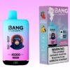 Bang Leader 45000 パフ | Vape Shop Japan
