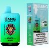Bang Leader 45000 パフ | Vape Shop Japan
