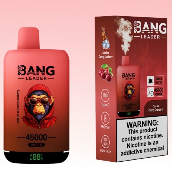 Bang Leader 45000 パフ | Vape Shop Japan