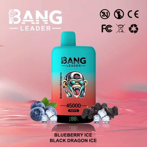 Bang Leader 45000 パフ | Vape Shop Japan