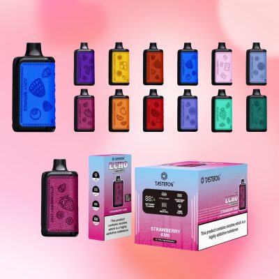 Tastefog Echo デジタルボックス 12000 パフ | Vape Shop Japan