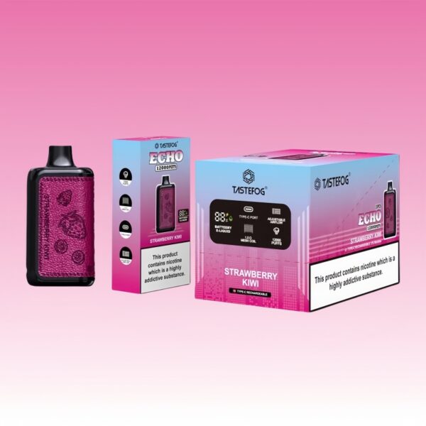 Tastefog Echo デジタルボックス 12000 パフ | Vape Shop Japan