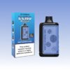 Tastefog Echo デジタルボックス 12000 パフ | Vape Shop Japan