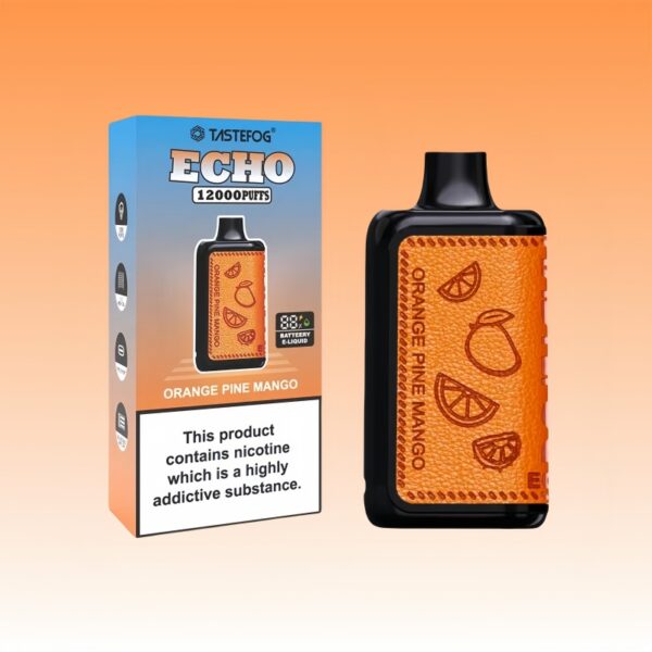Tastefog Echo デジタルボックス 12000 パフ | Vape Shop Japan