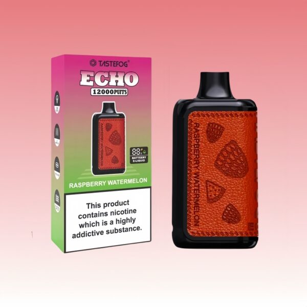 Tastefog Echo デジタルボックス 12000 パフ | Vape Shop Japan