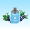 Tastefog Arena 800 パフ | Vape Shop Japan