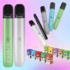 エルフワールドアイスキングポッド 600 パフ | Vape Shop Japan