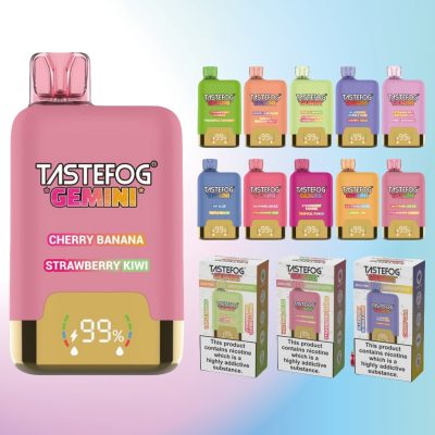 Tastefog Gemini 25000 パフ | Vape Shop Japan