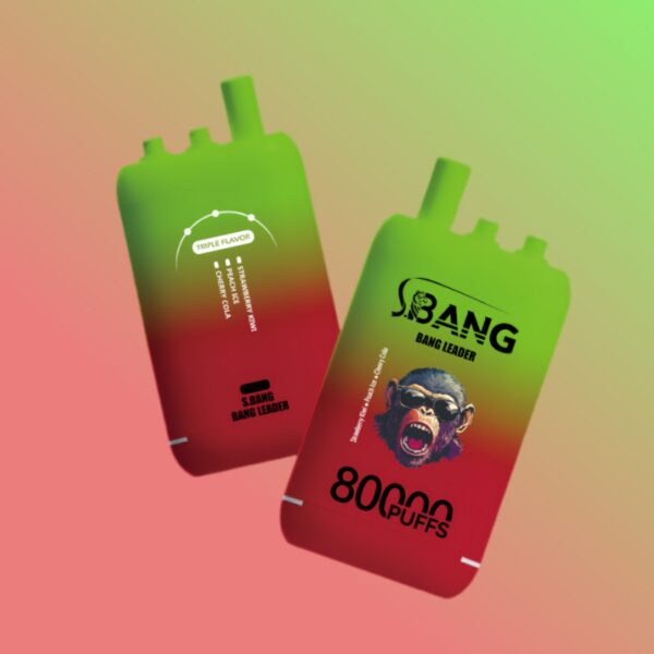 バンリーダー80000パフ | Vape Shop Japan