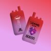 バンリーダー80000パフ | Vape Shop Japan
