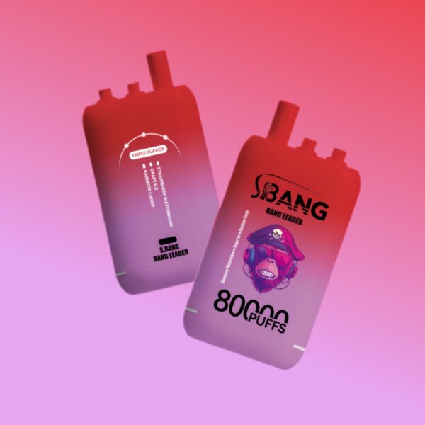 バンリーダー80000パフ | Vape Shop Japan