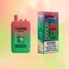 バンリーダー80000パフ | Vape Shop Japan