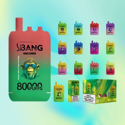 バンリーダー80000パフ | Vape Shop Japan