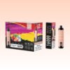 ELF BOX シーシャ 16000 パフ | Vape Shop Japan