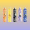 エルフボックスシーシャLS15000 | Vape Shop Japan