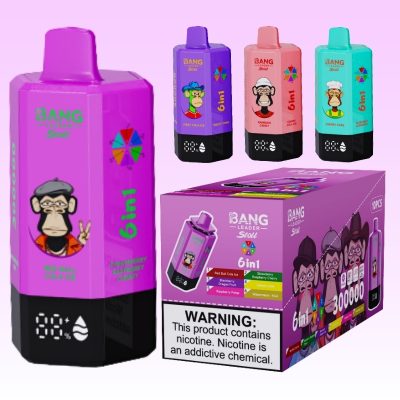 Bang Leader 300k Puffs | Japan Vape Store
