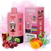 Bang Leader 300k Puffs | Japan Vape Store