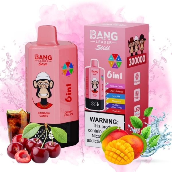 Bang Leader 300k Puffs | Japan Vape Store